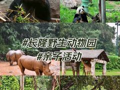 -广州长隆野生动物世界