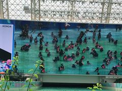 -环球中心海洋乐园