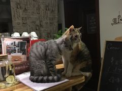 -隅cafe(傅厚岗店)