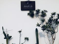-AHAVA·Fang Baking Studio