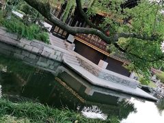 -月湖公园