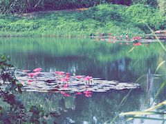 -白沙门生态公园
