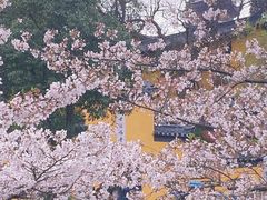 -鸡鸣寺