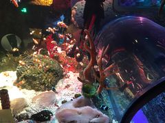 -沈阳海洋探索中心