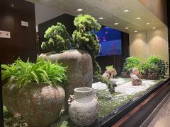-九洲喜来登酒店湖月日餐厅