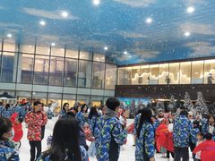 -世界之窗阿尔卑斯冰雪世界