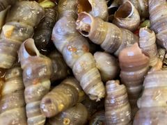 -花乐餐厅(涠洲岛店)