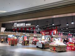 -盒马鲜生(岭南新世界店)