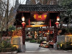 -青城甲(青城山店)