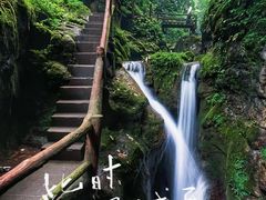 -青城山