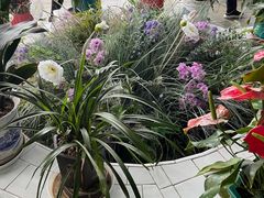 -青岛德国总督楼旧址博物馆