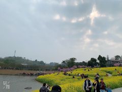 -铁山坪森林公园