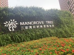 -亚马逊丛林水乐园