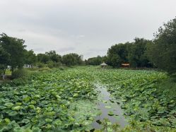 点击看大图 -玄武湖景区-情侣园游乐场