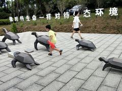 -广东惠东海龟国家级自然保护区