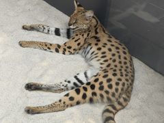 -北京野生动物园