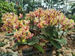 -石家庄市植物园