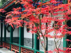 -香山公园-东宫门售票处