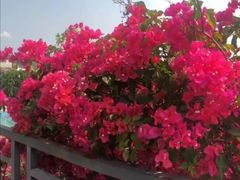 -小南山公园