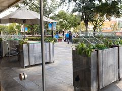 -麦当劳(塔园路店)