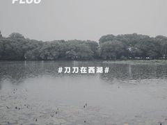 -苏堤停车场