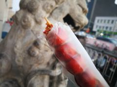 -和禄德冰糖葫芦