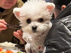 -慧娟面馆·餐厅(望江路店)