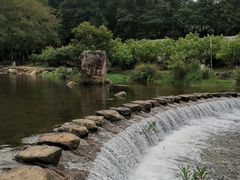 -广州市石门国家森林公园