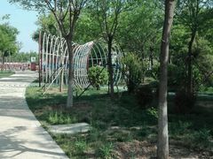 -武清南湖绿博园