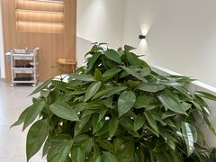 -悦园影院式·足道·养生spa