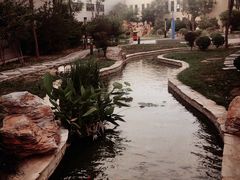 -北京国家会计学院