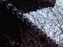-慧因高丽寺