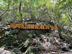 -江西阳明山国家森林公园