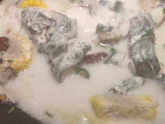 -鲜潭蒸汽石锅鱼(五道口购物中心店)