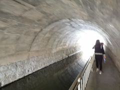-白水寺森林公园
