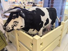 -红星前进面包牛奶公司(君太店)