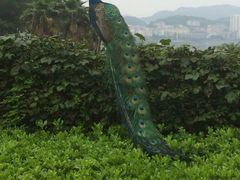 android_upload_pic-杭州千岛湖开元度假村