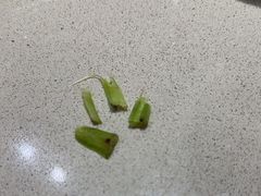 -蝎王府羊蝎子(天通苑店)
