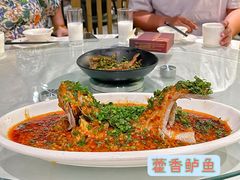 -芙蓉凰花园酒楼