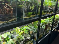 -扶摇湘宴·烤鸭·湘粤宴(中关村·北大店)