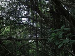 -燕晗山郊野公园