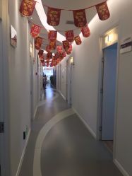 -小忠丽格医美
