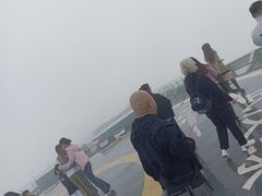 -武汉绿地中心