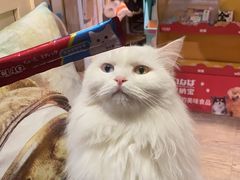 -小时光咖啡馆(开森度假森林店)