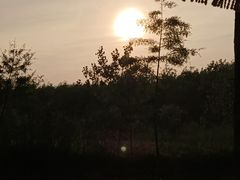 -合肥滨湖国家森林公园