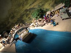 -成都泰迪熊博物馆