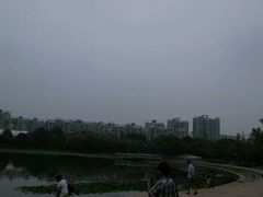 -新江湾城公园