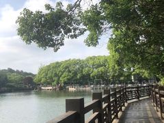 -白马涧龙池景区
