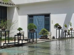 -稍可轩博物馆餐厅