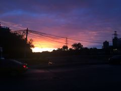 -朝阳公园游乐园